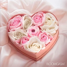 Bloomgasm: The Rose Lovers Gift Box - Pink Swirl ---FREE SHIPPING!!!