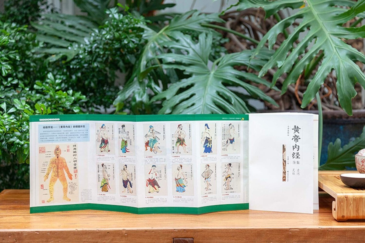 黄帝内经全集(全译图解版)(精) (Chinese Edition) Hardcover | eBay