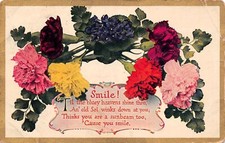 Antique Birthday Card Smile Sunbeam Old Soul Carnations Flower Vtg Postcard D23