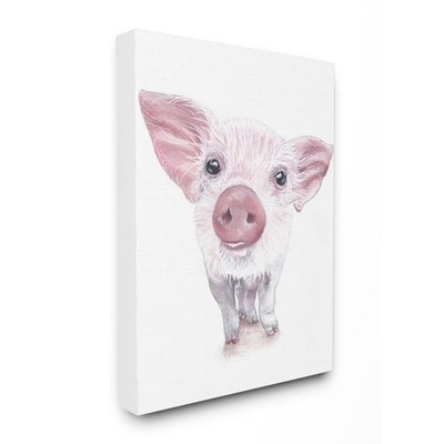 Cute Baby Piglet Up Close Illustration