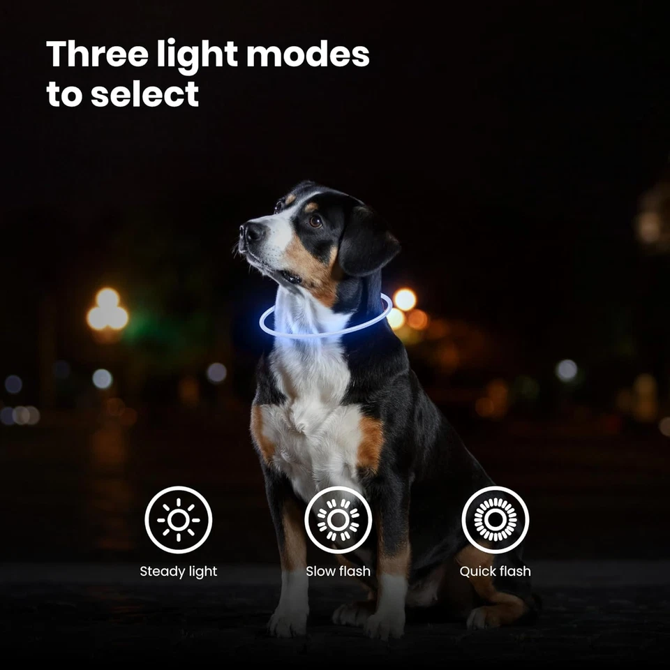 Collare per Cani a LED Blu - Collare Di Sicurezza per Animali Domestici Con Luce - Immagine 3 di 4