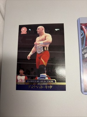 2001 Bandai New Japan Pro Wrestling Kotetsu Selection Dynamite Kid 145