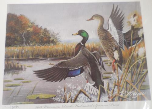 Wisconsin 2015 Ducks Impresión Ilimitada Firmada/Numerada 12"" x 14"" y Estampilla - Nuevo - Imagen 2 de 6