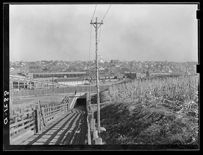 South Omaha Nebraska 1938 Cattle Tunnel to Stockyards Slaughter House