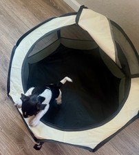 Portable Foldable Indoor and Outdoor Travel Pet Cats or Dogs Tent
