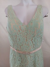 Cristina Wu Size16 Full Mint Lace /gemwaist /v Openback/vneck Sheath Gown