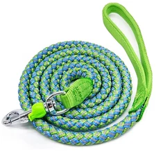 10 FT Reflective Dog Leash- Heavy Duty Nylon Braided Rope Leash with Soft Han...