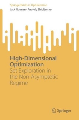 High-Dimensional Optimization - 9783031589089