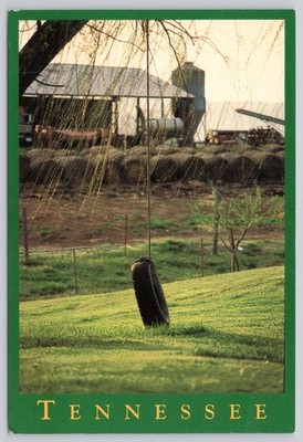 Tennessee TN Postcard, Tire Swing Farm Scene, Chattanooga Region, Dan Reynolds  