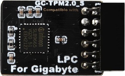 TPM2.0 Modul LPC 12Pin SLB9665 Gigabyte Motherboard Kompat