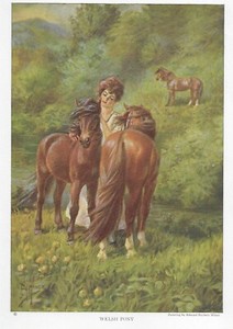 Welsh Mountain Pony - CUSTOM MATTED - 1923 Vintage Horse Art Print - Gift