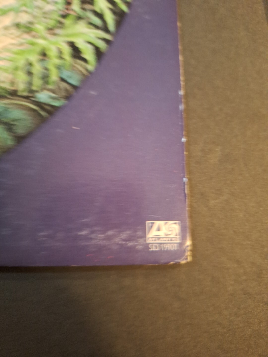 Picture 4 of 17