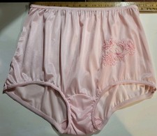 Vtg Sz13 Pink Sheer Nylon With Valentine Pink Embroidered Scroll Design Front