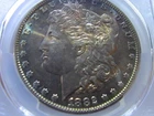1882 s morgan dollar, PCGS MS-64, HIGHLY TONED W GREAT LUSTER