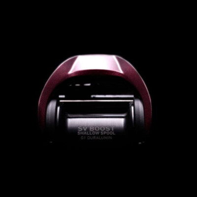 2023 Daiwa Salamandura SV TW 1000S Baitcasting Fishing Reel 7.1:1