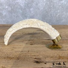 #22391 E | Carved Warthog Tooth Safari Decor For Sale