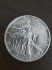 1989 American Silver Eagle
