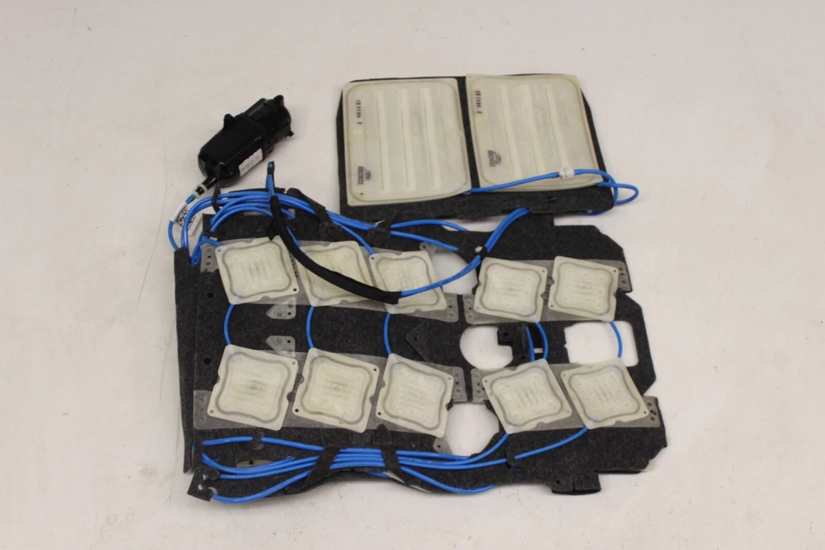 Front Right Pass Seat Lumbar Support Cusion Massage Pad OEM BMW  