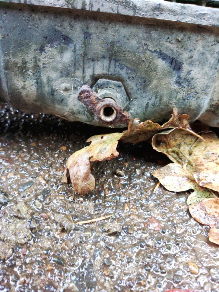 1951 Packard Radiator | eBay