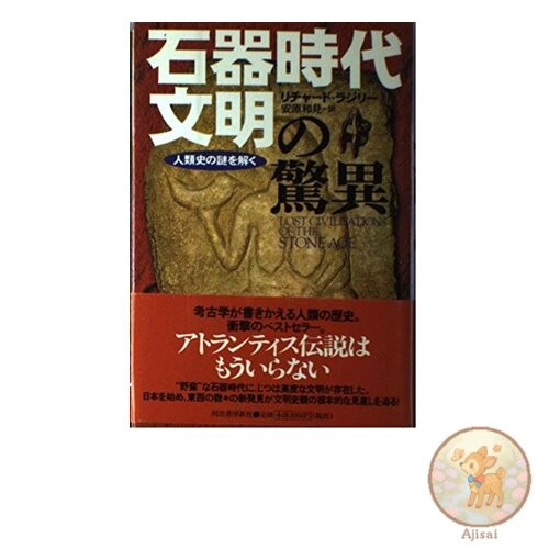 Book The Wonders of Stone Age Civilization: Unlocking the Mysteries of Human