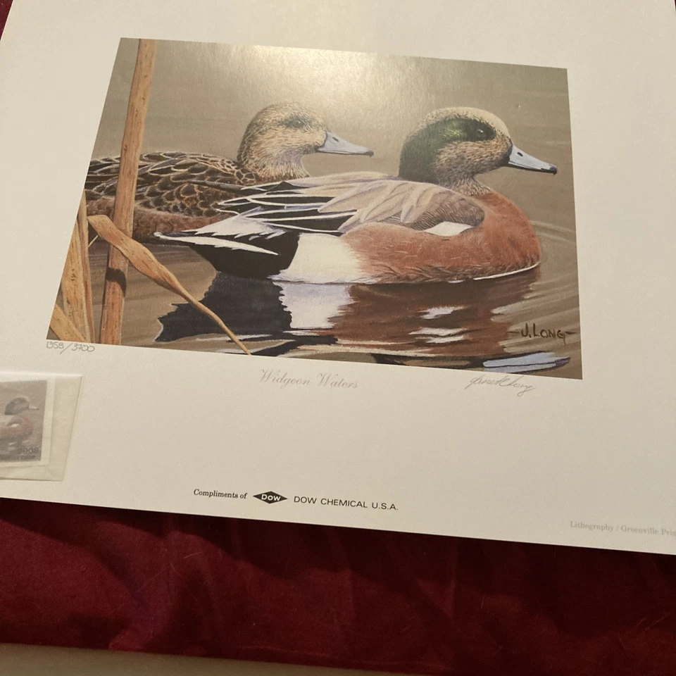 Ducks Unlimited Druck von Janet Long 2008 Druck des Jahres - Bild 2 von 4