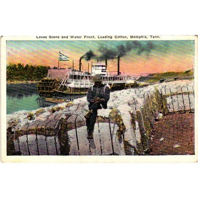 Vintage Memphis Tenn Levee Scene Loading Cotton Steamboat Linen Postcard 36712