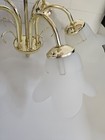 Foto 7 di 24