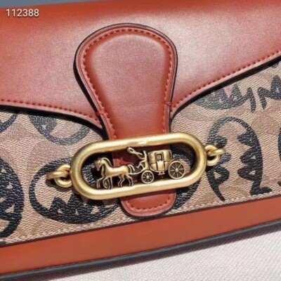 NWT COACH Guang Yu JADE SIG CC REXY Print Flap Shoulder X-body Bag