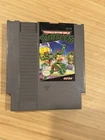 Teenage Mutant Ninja Turtles (Nintendo NES, 1989)
