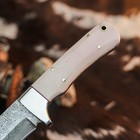 8.8" inch Handmade Damascus Hunting Knife Full Tang Wood Handle Leather Sheath — photo 9