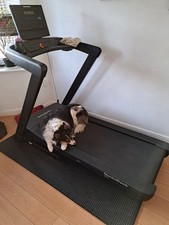 NordicTrack Exp 5i Folding Treadmill Home Cardio Running Machine with Bluetooth