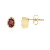 Cavill Pinkfarbene Madagaskar Saphir Ohrringe 1,08Ct 925 Silber Vergoldet Oval
