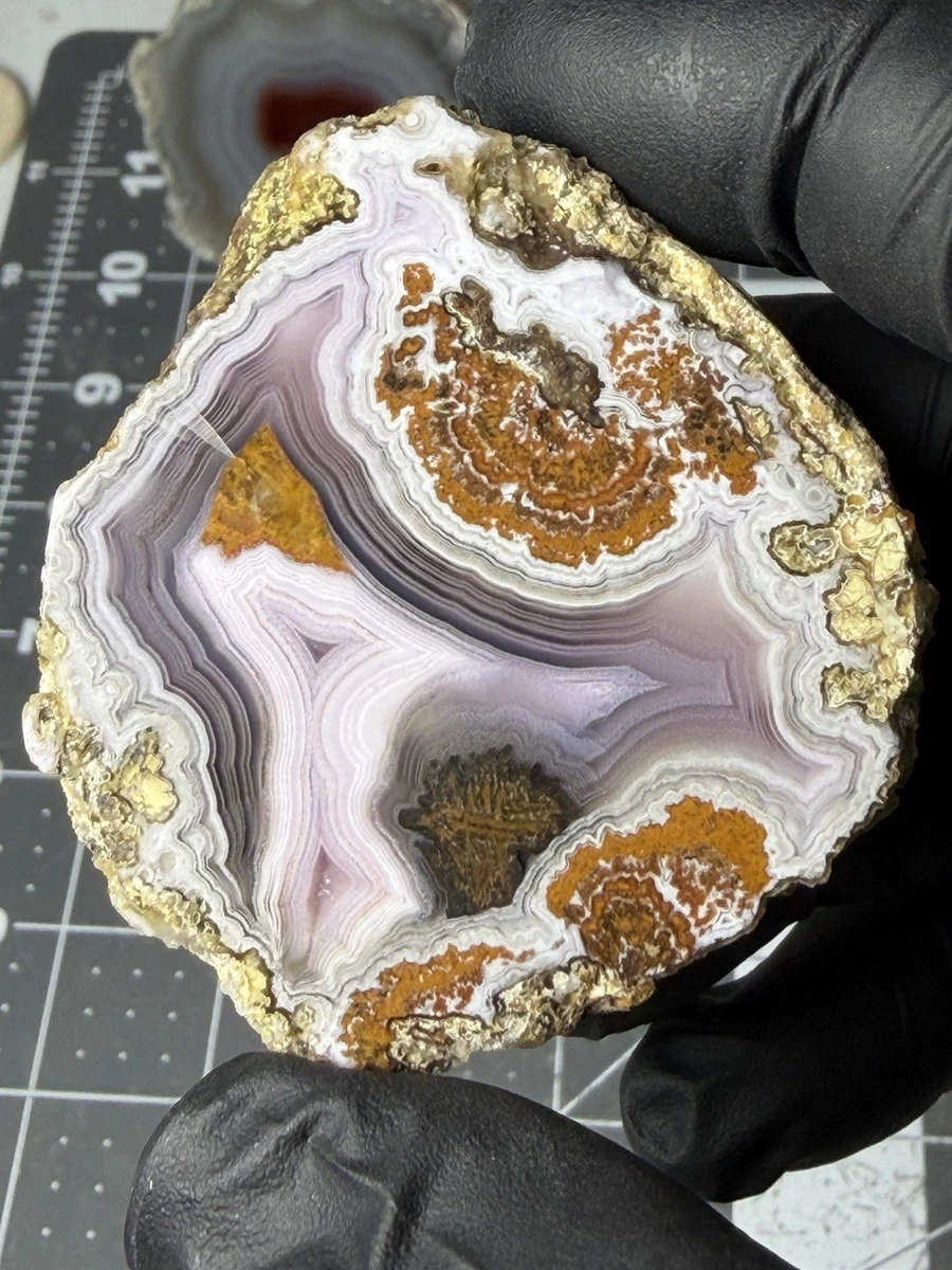 Laguna Agate for sale | eBay