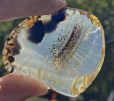 Montana Agate Clear Crystal with Classic Patterns Wonderful End Slice 22 Grams 