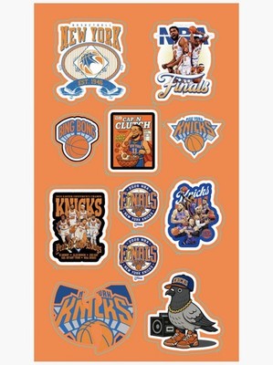 New York Knicks Sticker Sheet 4x7  NBA Finals 11 Vinyl Stickers