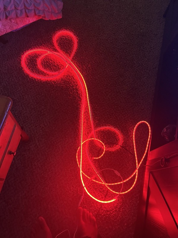 Red LED Neon Style Rope Light, Flexible Fiber Optic, Remote, Plug-In