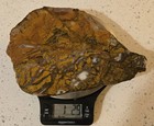 Large slab of  banded agate/brecciated Jasper for Cabbing or show piece — photo 3