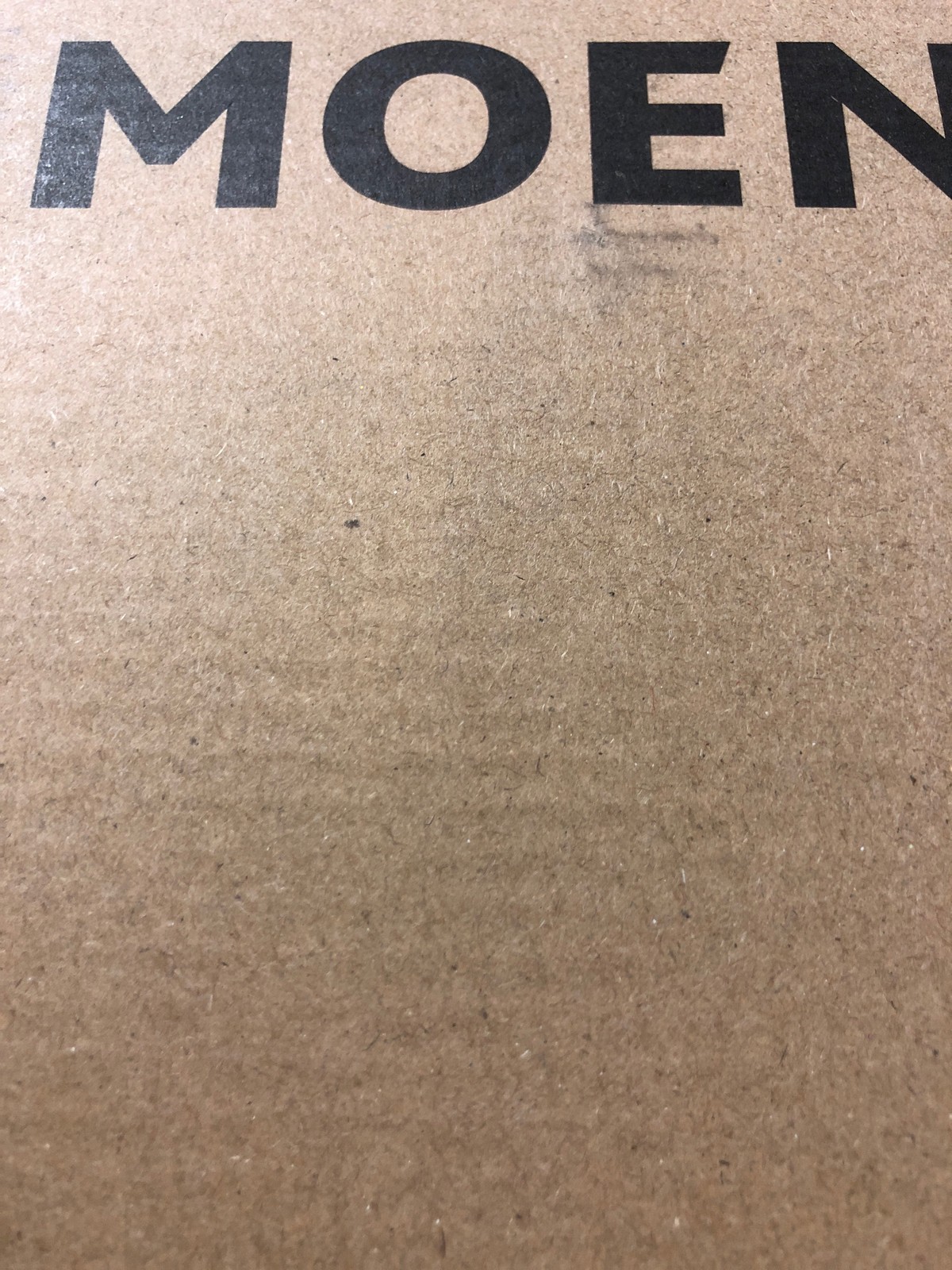 Moen Voss Towel Ring
