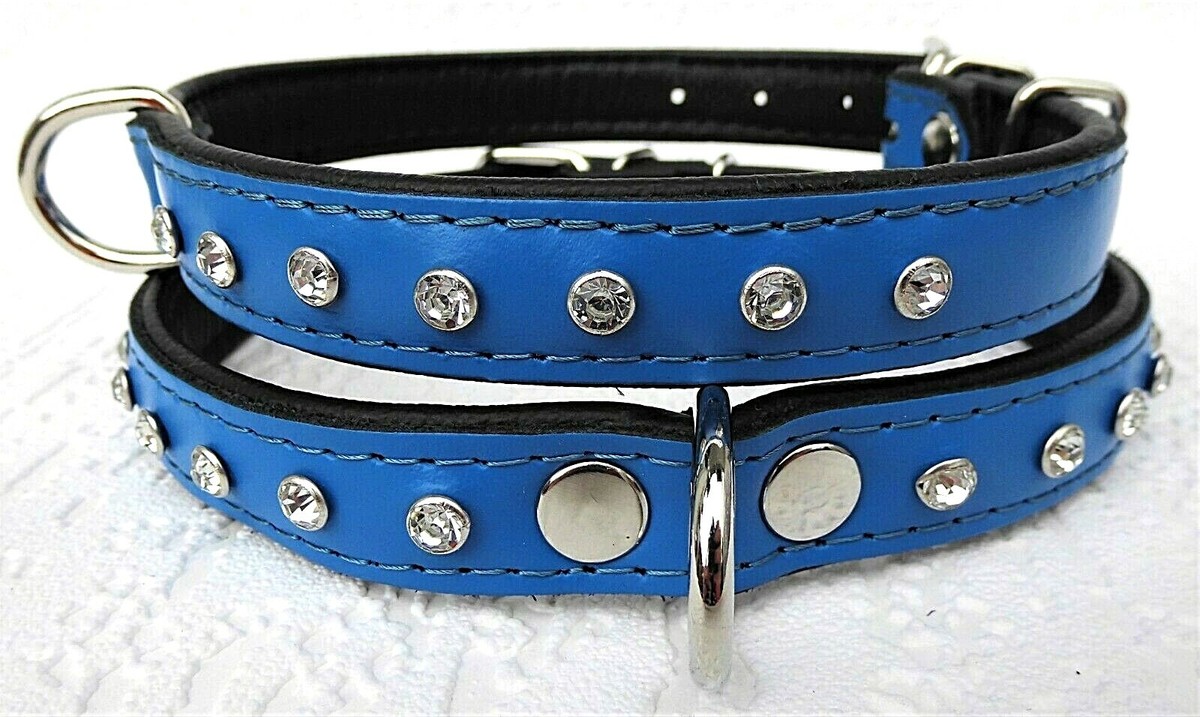 Hundehalsband Aus Leder Mit Blauen Kristallen – Halsumfang 39-47 Cm, Breite 42 Mm, Weich Gepolstert