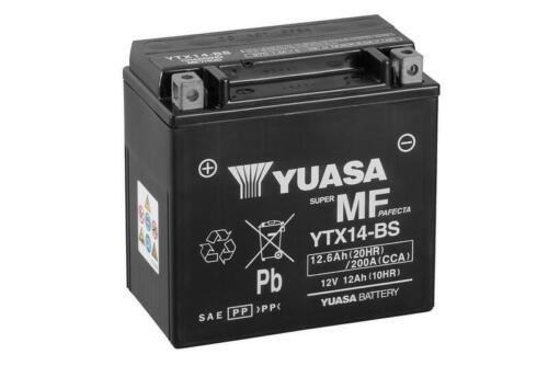 20081 - Motorradbatterie mit Elektrolyt YTX14-BS COMBIPACK kompatibel mit PIAGGI - Bild 1 von 1