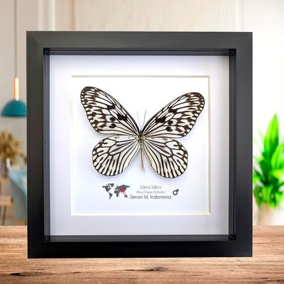 Idea Idea Reispapier Schmetterling Wandbild, schwarz-weiß, 20x20 cm, gerahmt