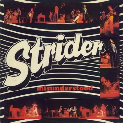 Strider Misunderstood UK vinyl LP album record GML1012