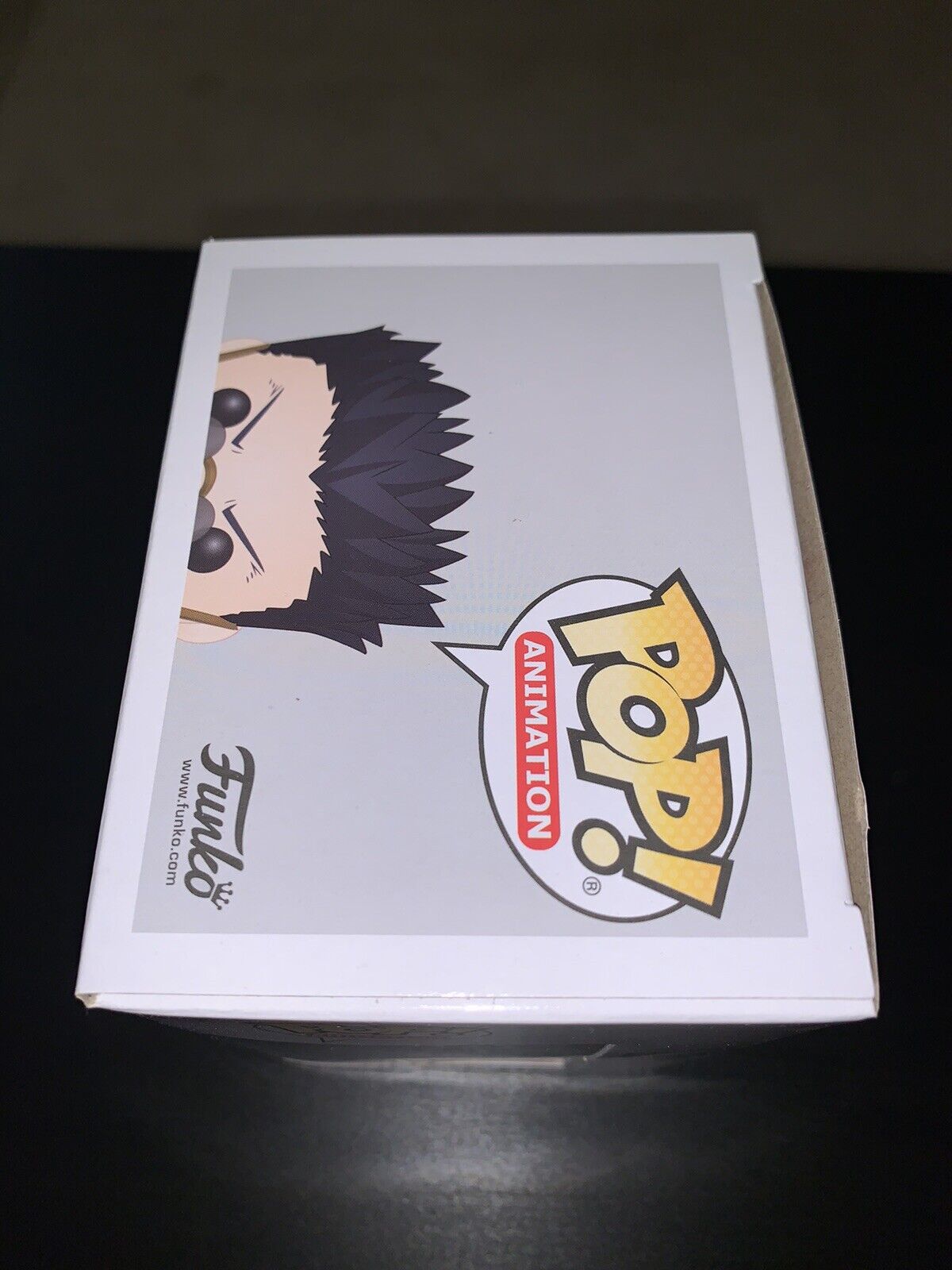 Leorio #700 Funko Pop! Animation Hunter X Hunter — Pop Hunt Thrills