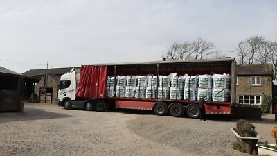 bulk bolsa kiln dried logs