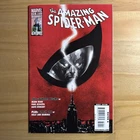 Amazing Spider-Man #612 Marko Djurdjevic Cover 2010 Marvel Comics Black Cat