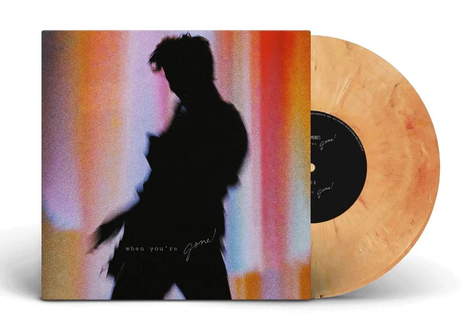 Shawn Mendes = When You're Gone = VINYL 7" SINGLE = POP FOLK R&B BALLADE - Bild 3 von 3