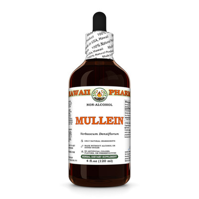 Mullein (Verbascum Densiflorum) Glycerite, Dried Flower Liquid Extract