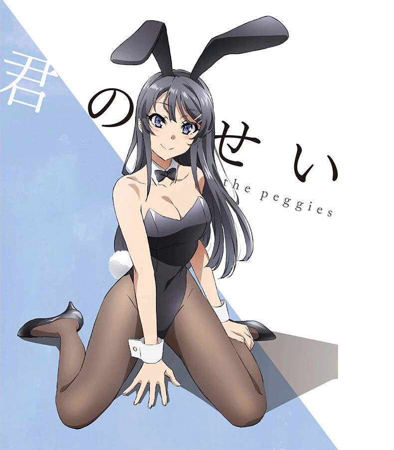 Mai sakurajima bunny on sale outfit