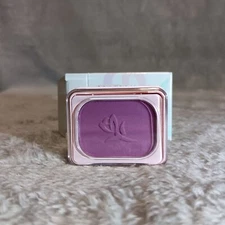 MARY KAY Powder Perfect Eye Color .09 oz Exotic Purple #3519 NIB