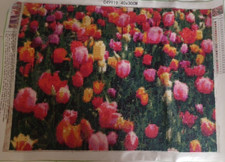 Colorful Tulip Field 5D Diamond Painting DIY Complete Kit New in Box